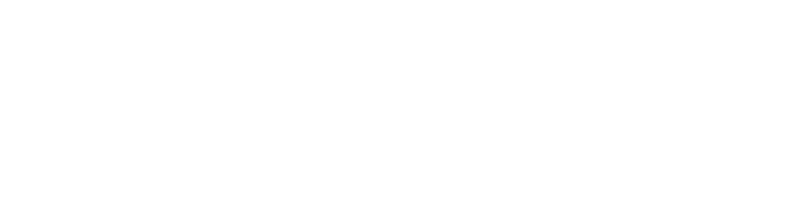 Input